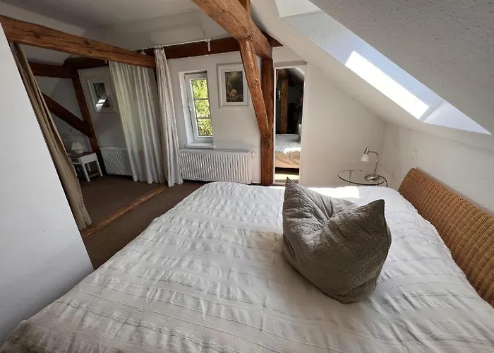Apartment Ostseetraum Lischow Neuburg (Mecklenburg-Vorpommern)
