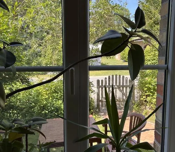 Apartment Ostseetraum Lischow Neuburg (Mecklenburg-Vorpommern)